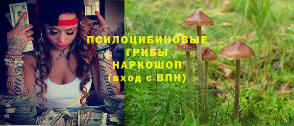 СК Дмитриев