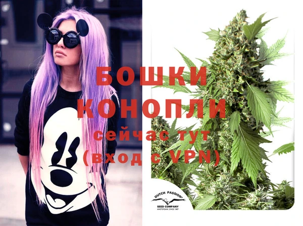 СК Дмитриев