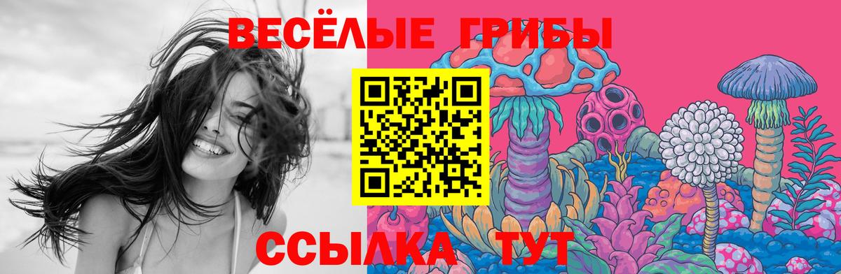 Галлюциногенные грибы Psilocybe  Вход с VPN  Заволжье 