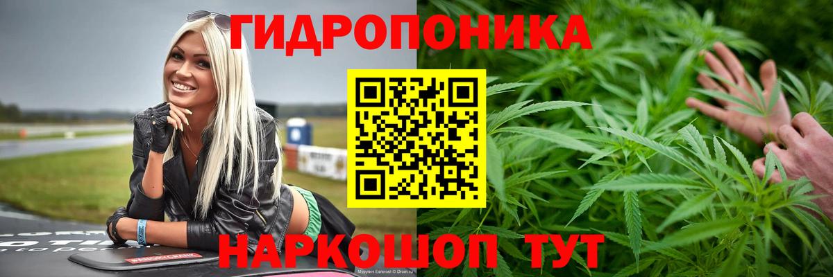 Конопля MAZAR  МАРИХУАНА семена  Заволжье  Канабис MAZAR  Вход с VPN 